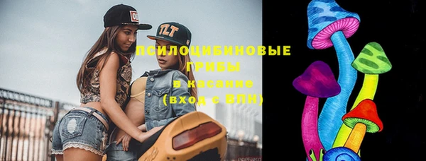 прущая мука Вязники