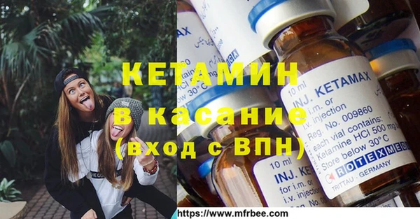 сатива Инта