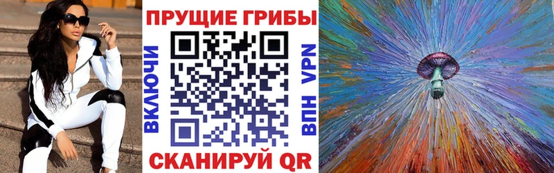 хочу   Тавда  Псилоцибиновые грибы GOLDEN TEACHER 